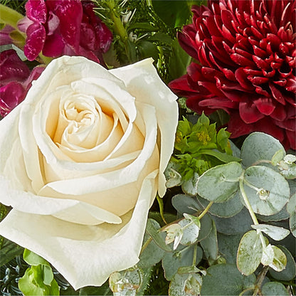 Cranberry Fizz Bouquet –  Peonies Plants On Main, Woodruff SC