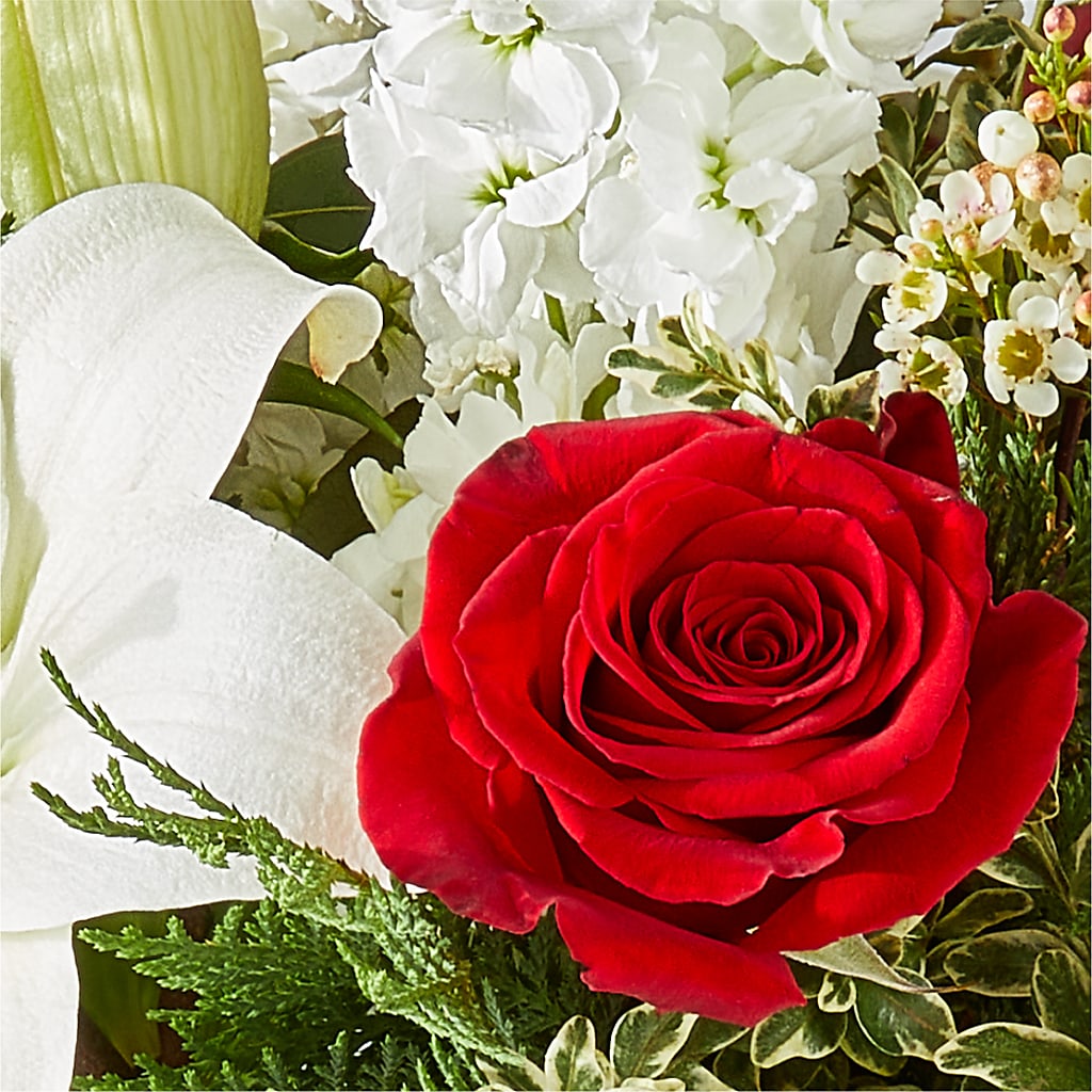 Twinkle Lights Bouquet –  Peonies Plants On Main, Woodruff SC