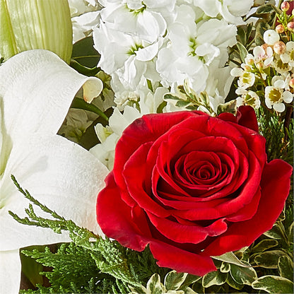 Twinkle Lights Bouquet –  Peonies Plants On Main, Woodruff SC