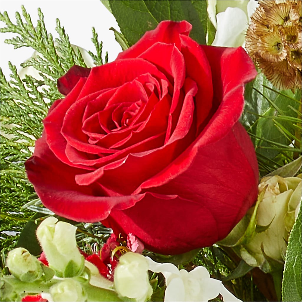 Deck the Halls Bouquet –  Peonies Plants On Main, Woodruff SC