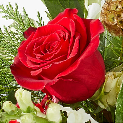 Deck the Halls Bouquet –  Peonies Plants On Main, Woodruff SC