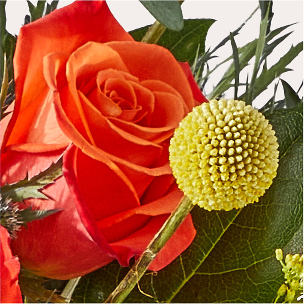 Disco Bouquet –  Peonies Plants On Main, Woodruff SC