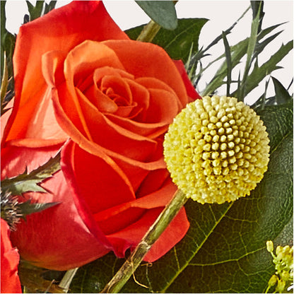 Disco Bouquet –  Peonies Plants On Main, Woodruff SC