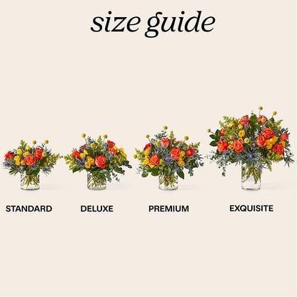 Disco Bouquet –  Peonies Plants On Main, Woodruff SC