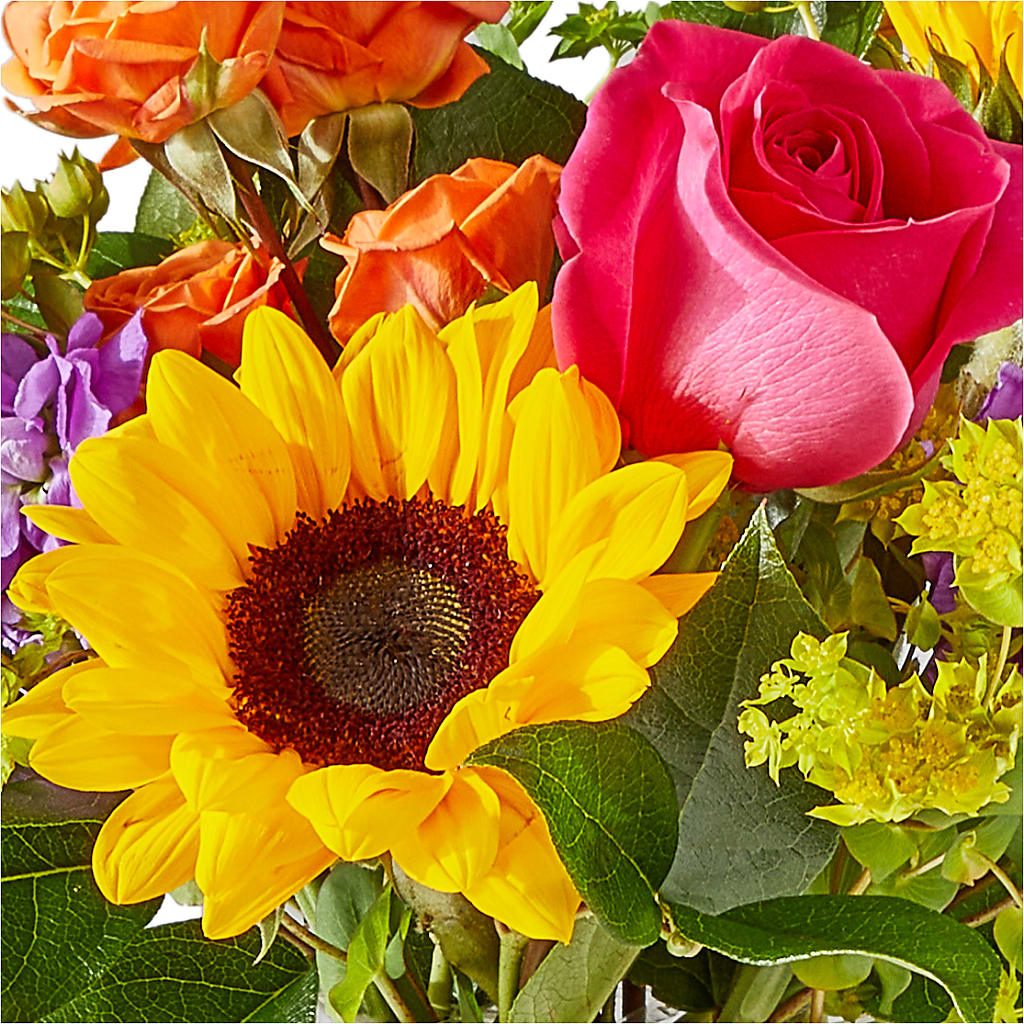 Vibrant Greetings Bouquet –  Peonies Plants On Main, Woodruff SC