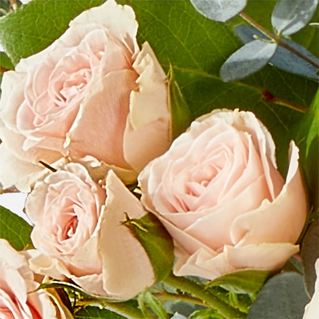 Inspired Bouquet –  Peonies Plants On Main, Woodruff SC
