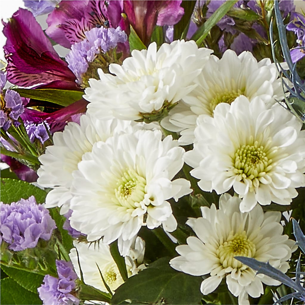Shooting Star Bouquet –  Peonies Plants On Main, Woodruff SC