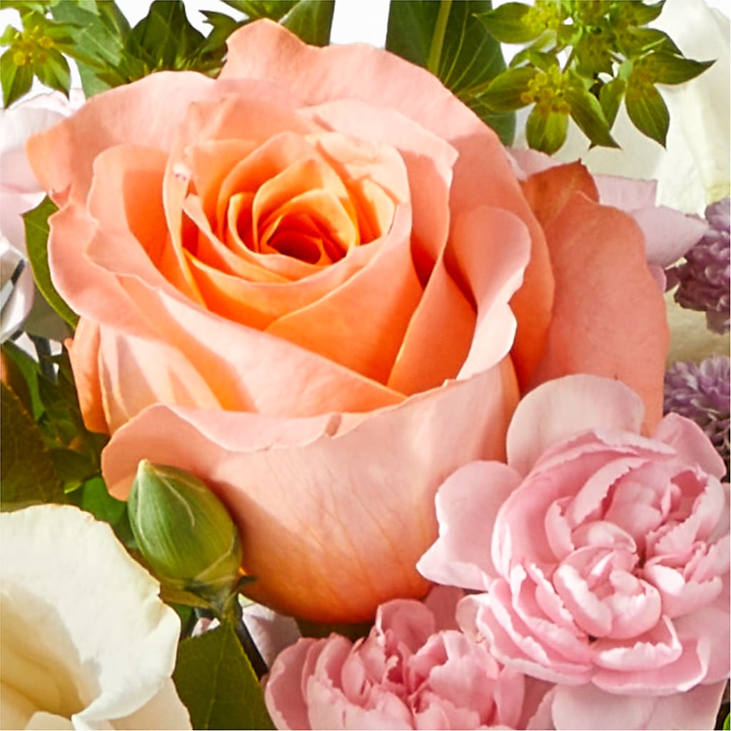 French Market Bouquet –  Peonies Plants On Main, Woodruff SC
