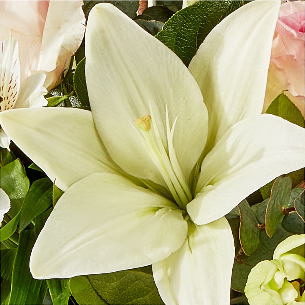 Ballet Slippers Bouquet –  Peonies Plants On Main, Woodruff SC
