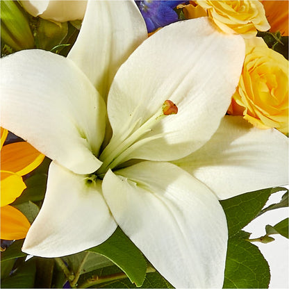 Wonderfully Sunny Bouquet –  Peonies Plants On Main, Woodruff SC