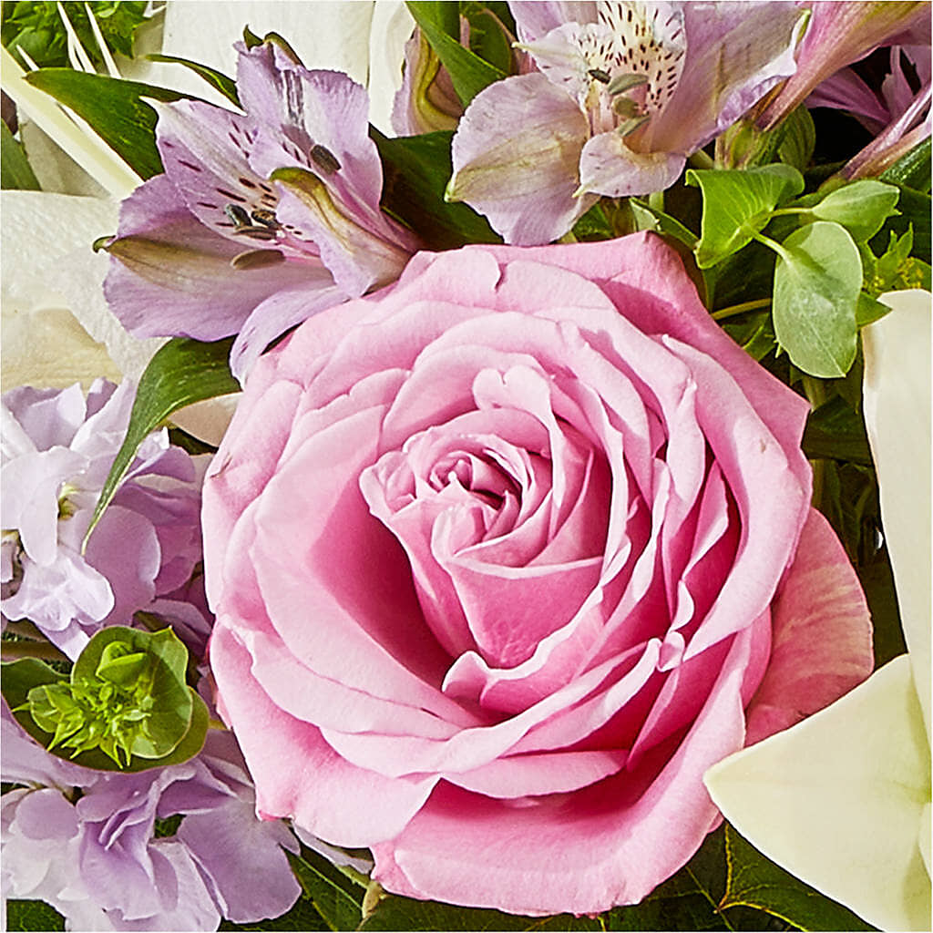 Daydreamer Bouquet –  Peonies Plants On Main, Woodruff SC