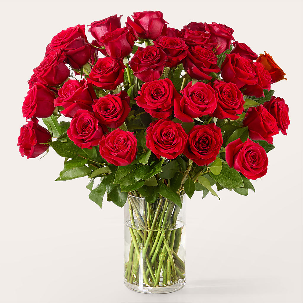 The One Red Rose Bouquet –  Peonies Plants On Main, Woodruff SC