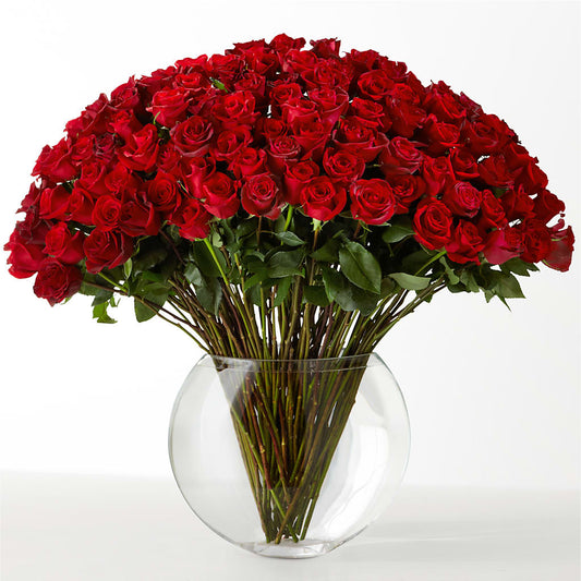 The Idealist –  Peonies Plants On Main, Woodruff SC