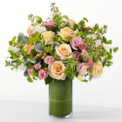 The Glamour Shot –  Peonies Plants On Main, Woodruff SC