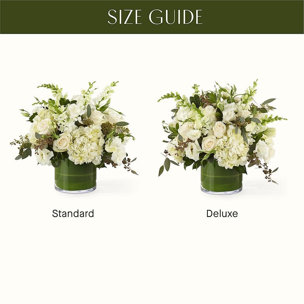 The Gallery –  Peonies Plants On Main, Woodruff SC