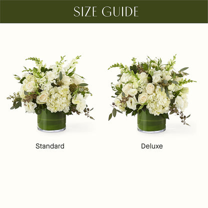 The Gallery –  Peonies Plants On Main, Woodruff SC