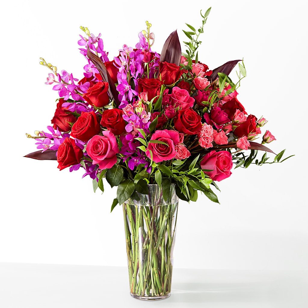 The Honeymoon –  Peonies Plants On Main, Woodruff SC