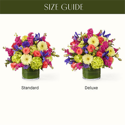The Couture –  Peonies Plants On Main, Woodruff SC