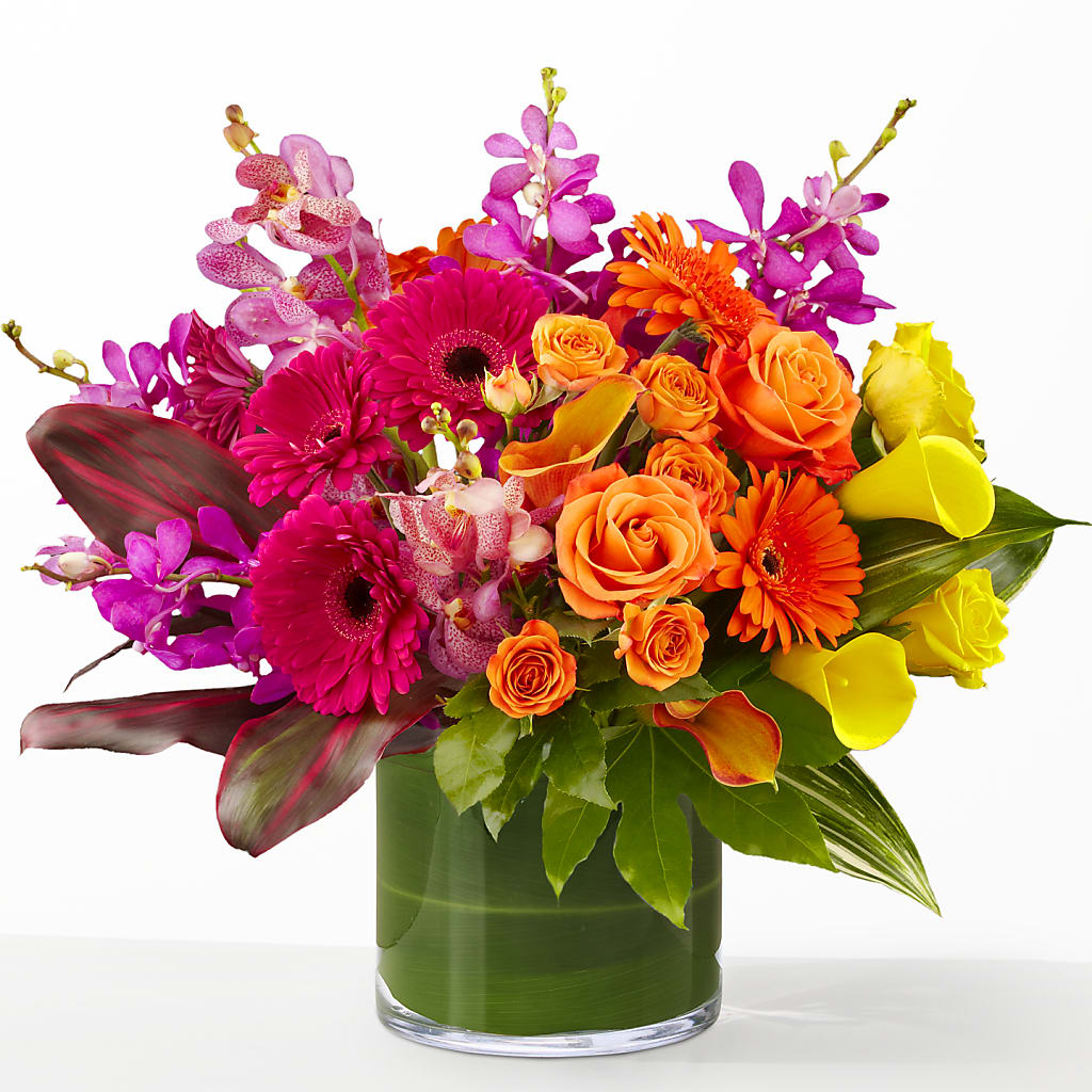 The Mosaic –  Peonies Plants On Main, Woodruff SC