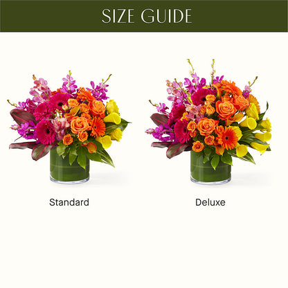 The Mosaic –  Peonies Plants On Main, Woodruff SC