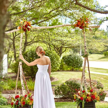 Arbor of Love Archway –  Peonies Plants On Main, Woodruff SC