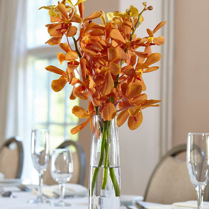 Orange Mokara Bud Vase –  Peonies Plants On Main, Woodruff SC