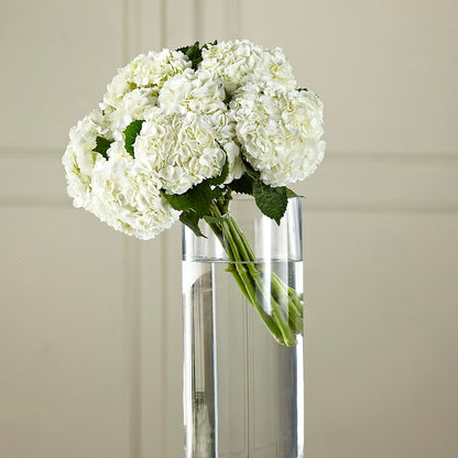 White Hydrangea Hand-Tied Bouquet –  Peonies Plants On Main, Woodruff SC