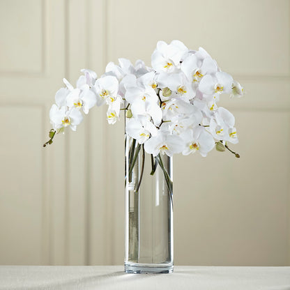White Phalaenopsis Bouquet –  Peonies Plants On Main, Woodruff SC