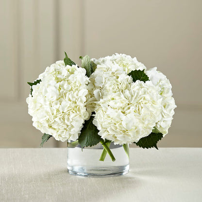 White Hydrangea Bouquet –  Peonies Plants On Main, Woodruff SC