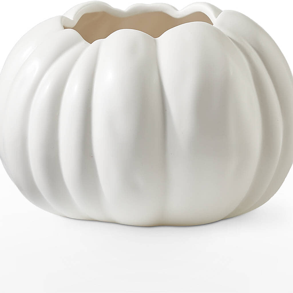 Autumn Air Pumpkin Bouquet –  Peonies Plants On Main, Woodruff SC